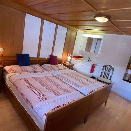 Apartment Chalet Im Sunnigen Usblick 翁根 外观 照片